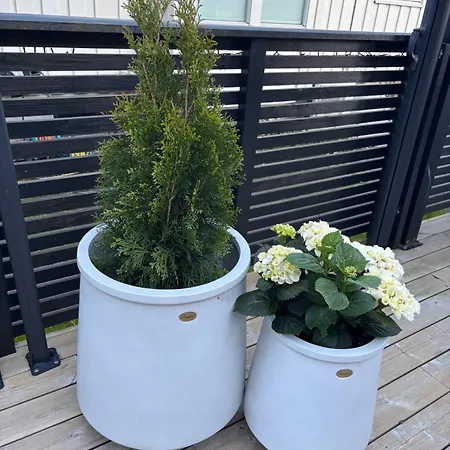 Lykkebo * Stavanger